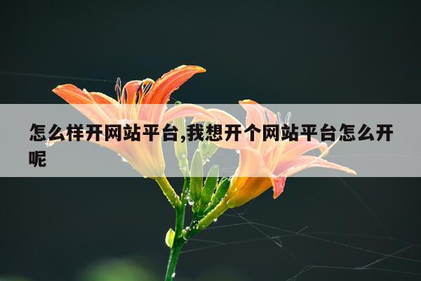 怎么样开网站平台,我想开个网站平台怎么开呢