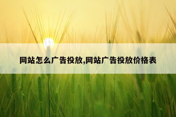 网站怎么广告投放,网站广告投放价格表