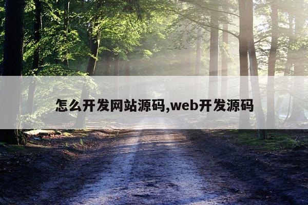 怎么开发网站源码,web开发源码
