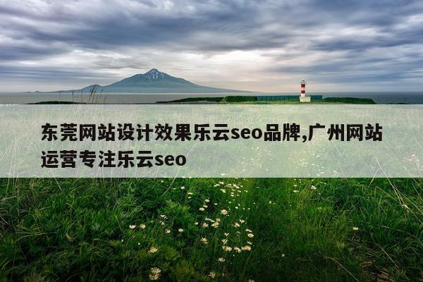 东莞网站设计效果乐云seo品牌,广州网站运营专注乐云seo