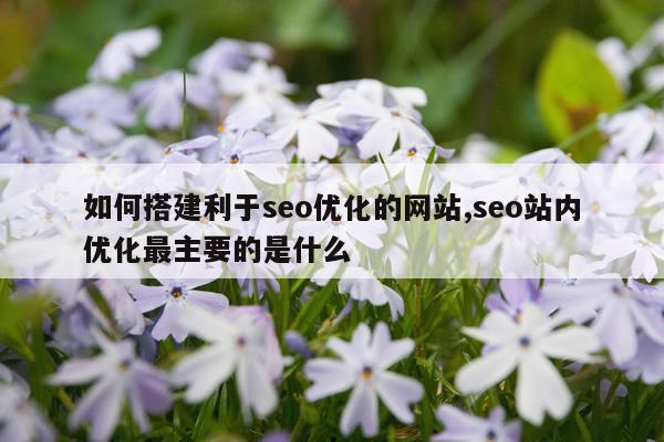 如何搭建利于seo优化的网站,seo站内优化最主要的是什么