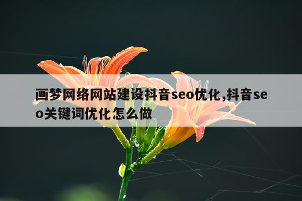 画梦网络网站建设抖音seo优化,抖音seo关键词优化怎么做