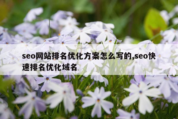 seo网站排名优化方案怎么写的,seo快速排名优化域名