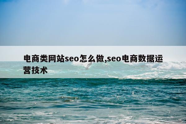 电商类网站seo怎么做,seo电商数据运营技术