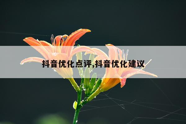 抖音优化点评,抖音优化建议