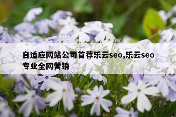 自适应网站公司首荐乐云seo,乐云seo专业全网营销