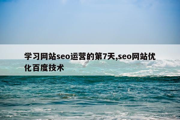 学习网站seo运营的第7天,seo网站优化百度技术